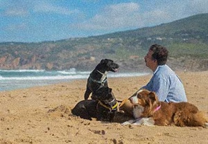 CONSEJOS PARA IR DE VACACIONES CON TU PERRO