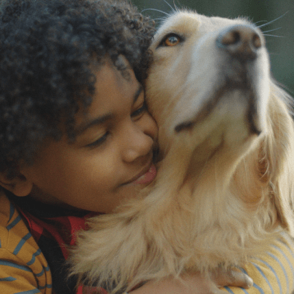 <p>Matias de solo 6 años ha sido el mejor hermano del mundo para Apolo. Conoce esta linda historia.</p>
