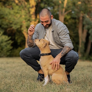 LO QUE DEBE TENER UN ALIMENTO PARA NUTRIR A TU PERRO