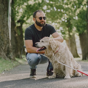 TIPOS DE PERROS DE ASISTENCIA