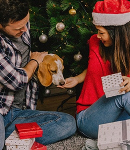 10 PLANES PARA HACER CON TU PERRO EN NAVIDAD