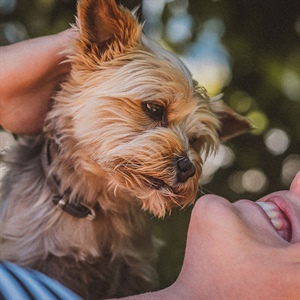 ¿CÓMO BAÑAR A TU PERRO EN CASA?