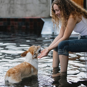 TIPS PARA UNA AVENTURA EN EL AGUA CON TU PERRO