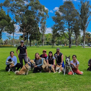 MASTER CLASS NUTRISS PARA DOG LOVERS