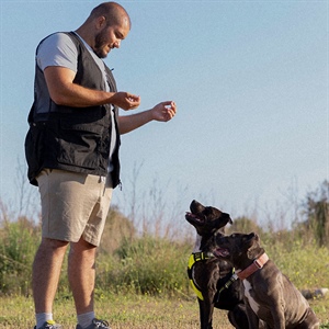 EFECTOS DE UN MAL ENTRENAMIENTO EN TU PERRO