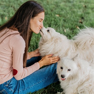 LA VIDA DE UN PERRO SENIOR: CÓMO FACILITAR SU CUIDADO