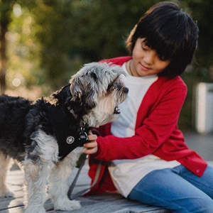 CÓMO SABER SI TU PERRO ES AUTISTA