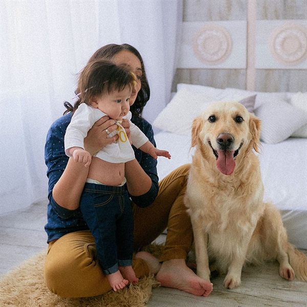 PERROS Y BEBES: CÓMO HACER UNA CRIANZA RESPONSABLE