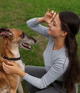 TIPOS DE PARÁSITOS EN PERROS