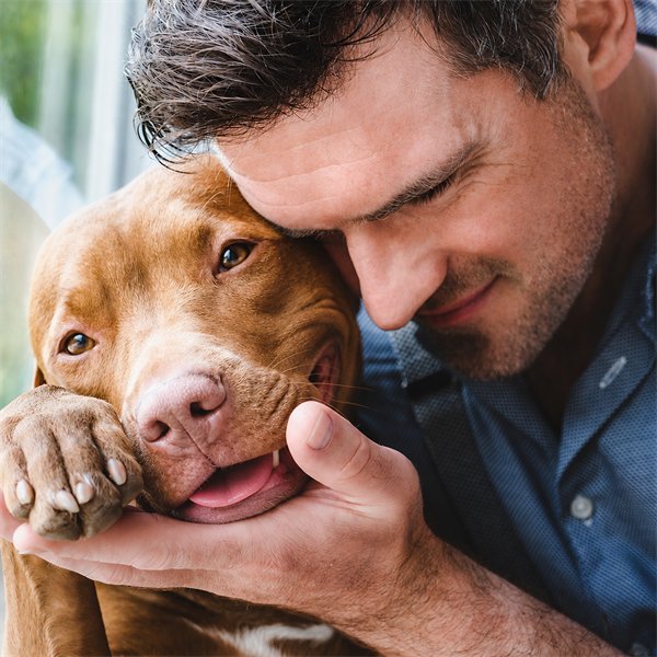 EL VÍNCULO ESPECIAL ENTRE UN DOG LOVER Y SU PERRO