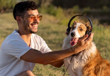 CÓMO ENTRENAR A TU PERRO PARA ESTAR TRANQUILO EN CASA