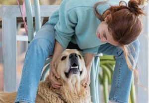 CONSEJOS EXPERTOS PARA INCORPORAR OTRO PERRO EN TU HOGAR