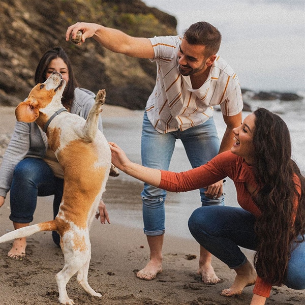 ¿CÓMO LOS PERROS LEEN LAS EMOCIONES DE LOS HUMANOS?