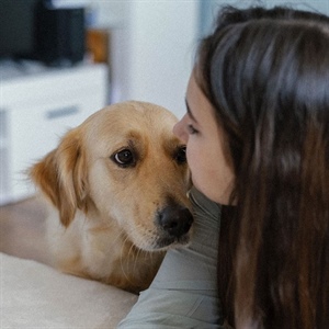 Perros de apoyo para el bienestar emocional