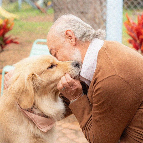 Lo que debes saber de los perros de apoyo emocional