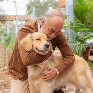 ¿Los perros pueden sentir las emociones humanas?