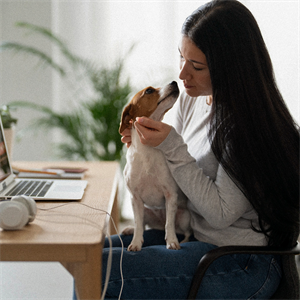 Guía para llevar a tu perro al trabajo