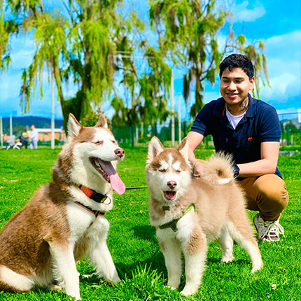 Siete Huskies transformaron la vida de Armando.