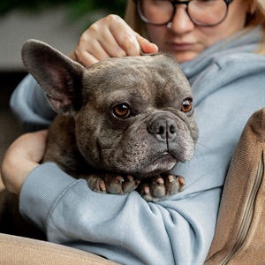 Identifica alergias alimentarias en tu perro