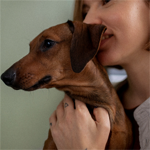 Cuidado de la columna en perros