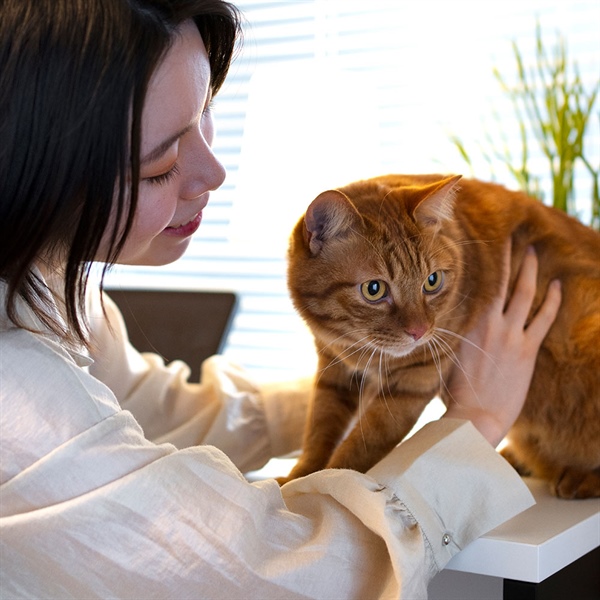 ¿Cuánto debe comer tu gato? Guía para Cat Lovers