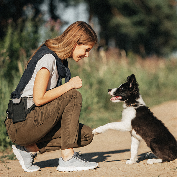 Día del Dog Lover: celebra el vínculo perfecto