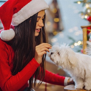 Ideas para fotos navideñas con tu perro