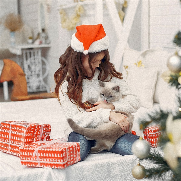 10 Regalos de Navidad ideales para gatos