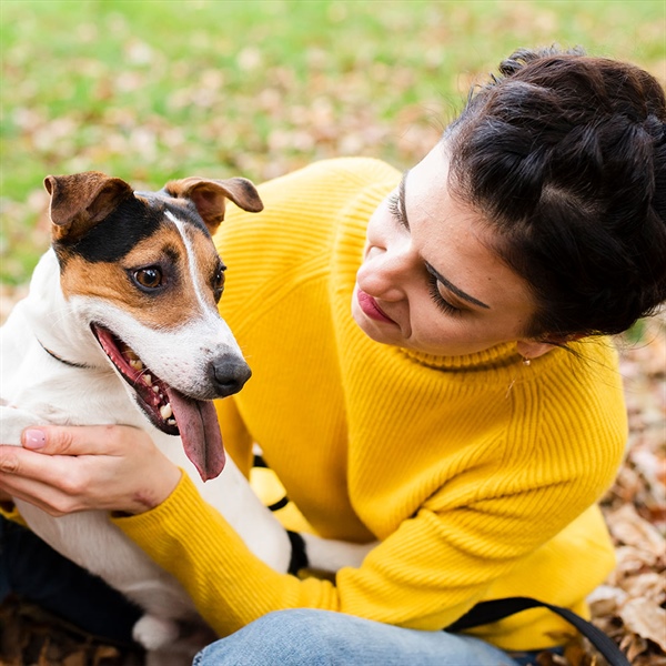 ¿Los perros sudan? Descubre cómo regulan su temperatura