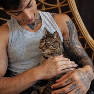 El lenguaje de los maullidos: ¿Qué quiere decir tu gato?