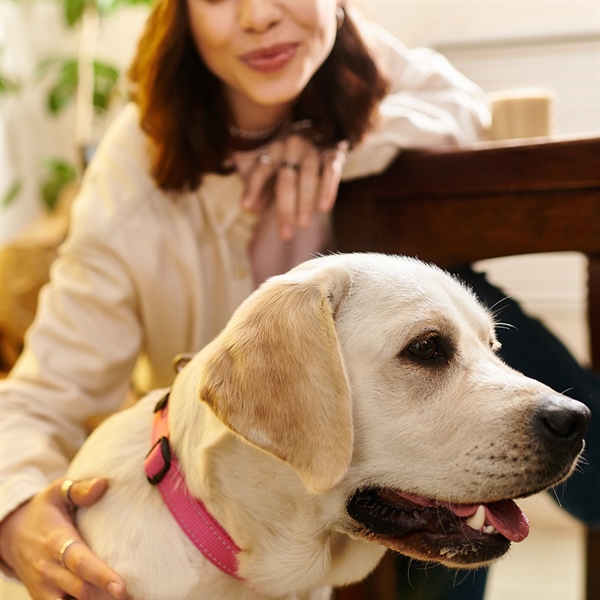 Perros guía: vínculo, confianza y bienestar emocional