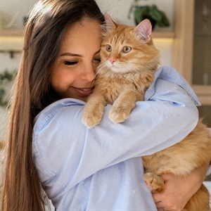 Cuidados esenciales para tu gata embarazada