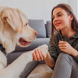 Perros de asistencia para personas con epilepsia