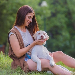 Diarrea en perros: tipos tratamiento y qué hacer