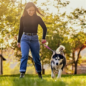 Cambios hormonales en perros y su conducta