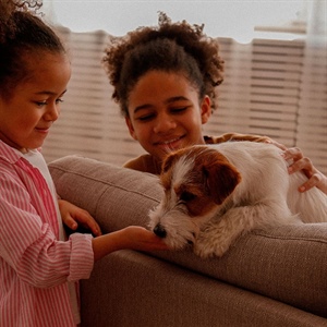 ¿Qué debe comer un perro con diarrea?