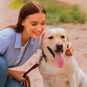 ¿Cómo eliminar el mal aliento en perros?