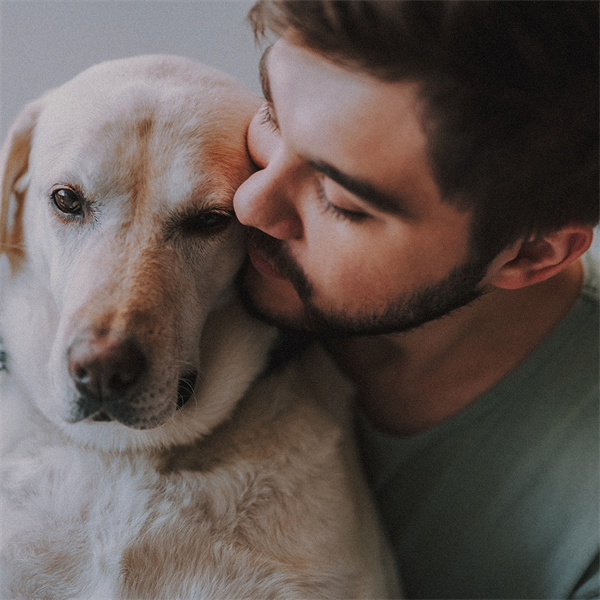 El hígado de tu perro: un trabajador silencioso