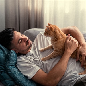 Lipidosis hepática en gatos: Causas, síntomas y tratamiento