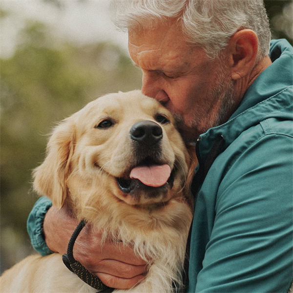 Perros y adultos mayores: compañía y bienestar diario