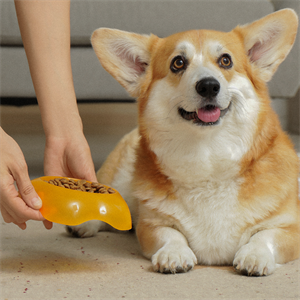 Obesidad en perros: guía para Dog Lovers sobre cuidados