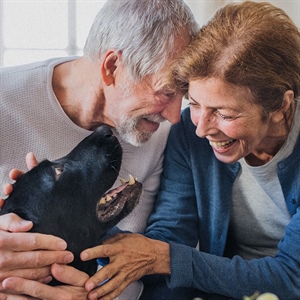 No todo es correr y jugar: la salud mental de tu perro