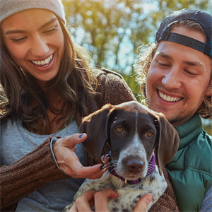 Viaja con tu perro sin poner en riesgo su salud