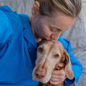 Neutropenia en perros: señales, causas y cómo cuidarlo