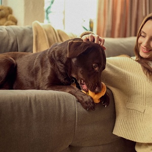 CÓMO CUIDAR LOS DIENTES DE TU PERRO