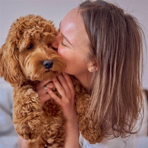 Por qué tu perro se emociona tanto al verte