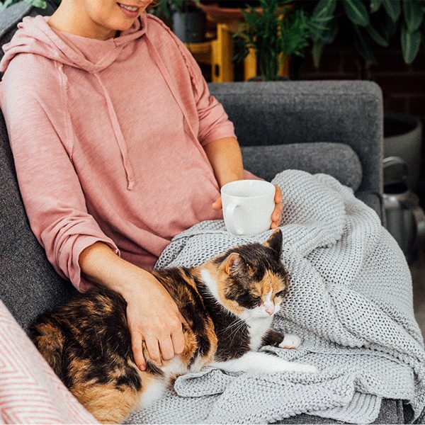 ¿Los gatos extrañan a sus humanos? Descúbrelo