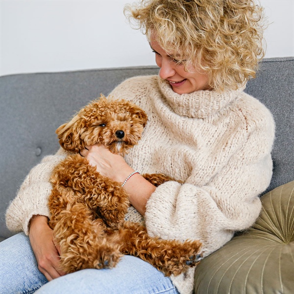 Vínculo con tu cachorro: importancia de los primeros hábitos