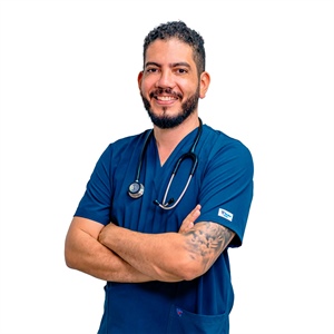 Triángulo de la Salud de tu perro: veterinario, comida y rutina