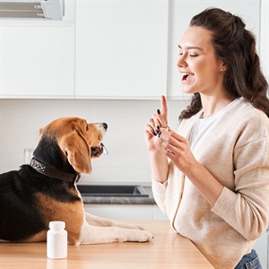 El amor que eliges todos los días: ser mamá de un perro